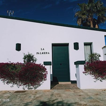 Casa La Palmera - Solo Familias Y Parejas Conil de la Frontera Kültér fotó
