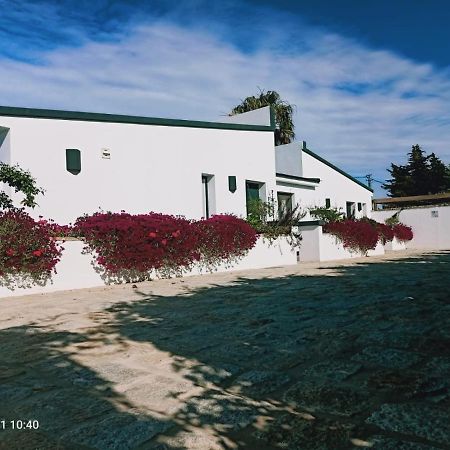 Casa La Palmera - Solo Familias Y Parejas Conil de la Frontera Kültér fotó