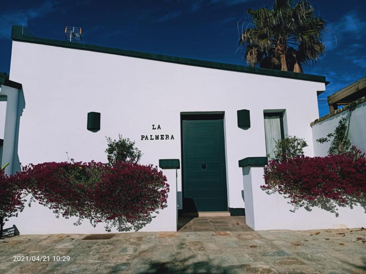 Casa La Palmera - Solo Familias Y Parejas Conil de la Frontera Kültér fotó
