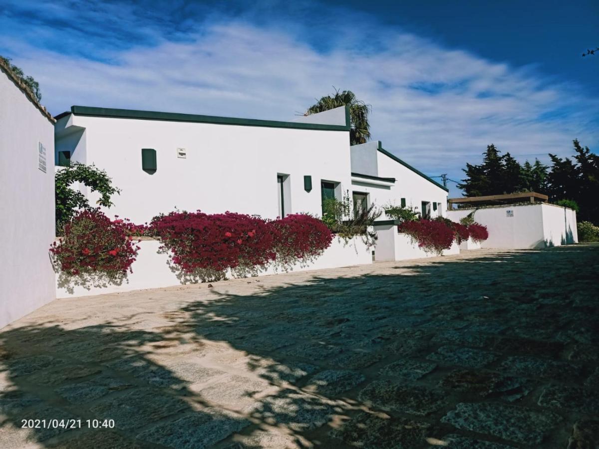 Casa La Palmera - Solo Familias Y Parejas Conil de la Frontera Kültér fotó